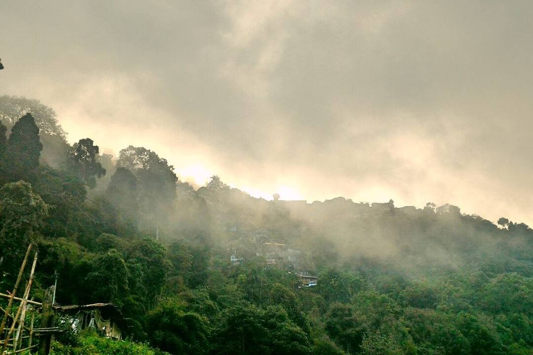 Gangtok & Darjeeling Classic Hill Tour