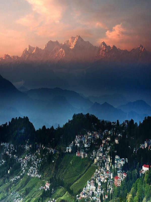 darjeeling holiday