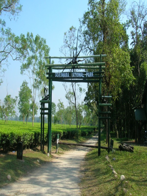 murti resorts